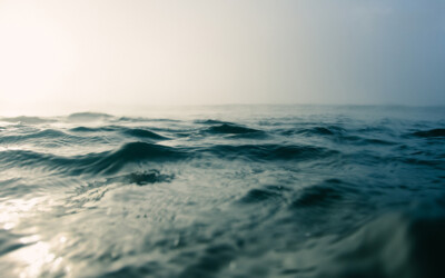 Navigating through the waves of emotion: Anxiety